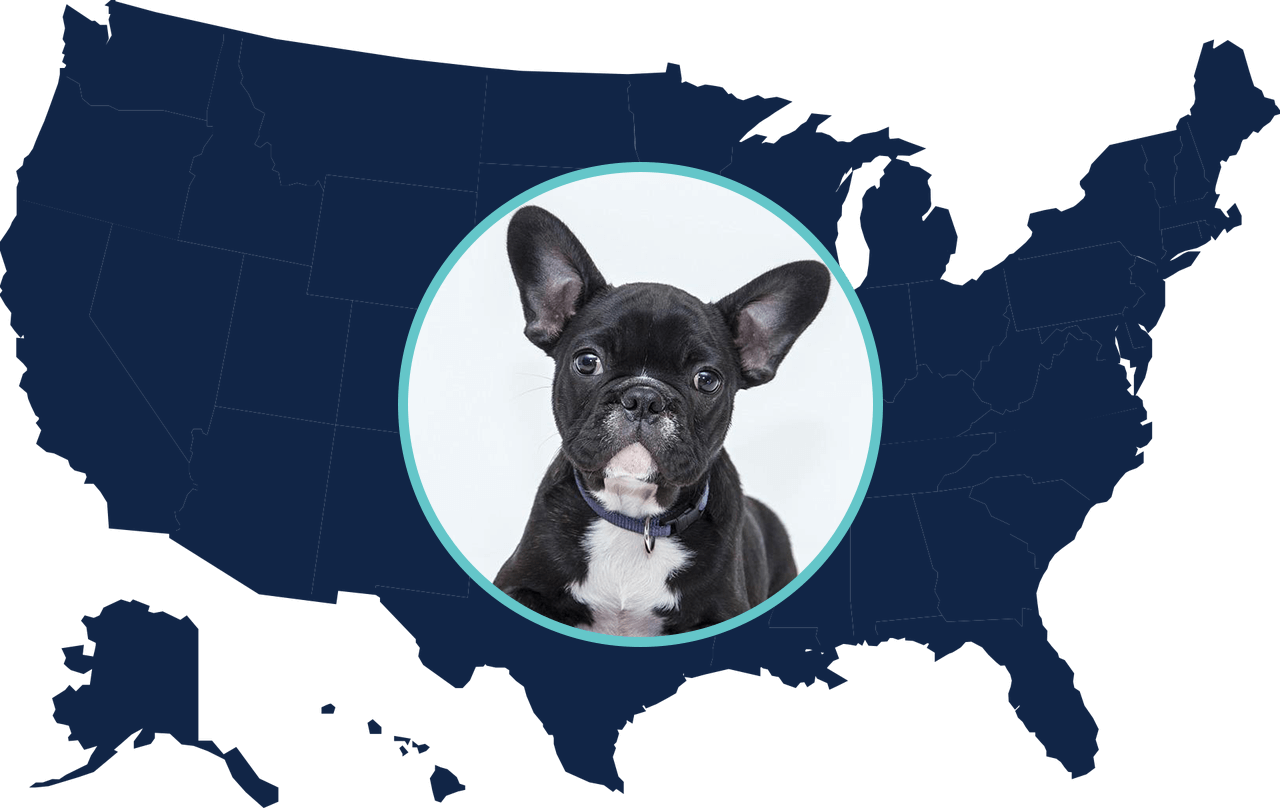 Do you know your state laws for controlled substances? - VetSnap