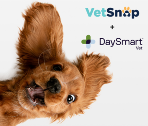 VetSnap and Daysmart Vet Integration makes DEA Compliance Simpler than Ever 